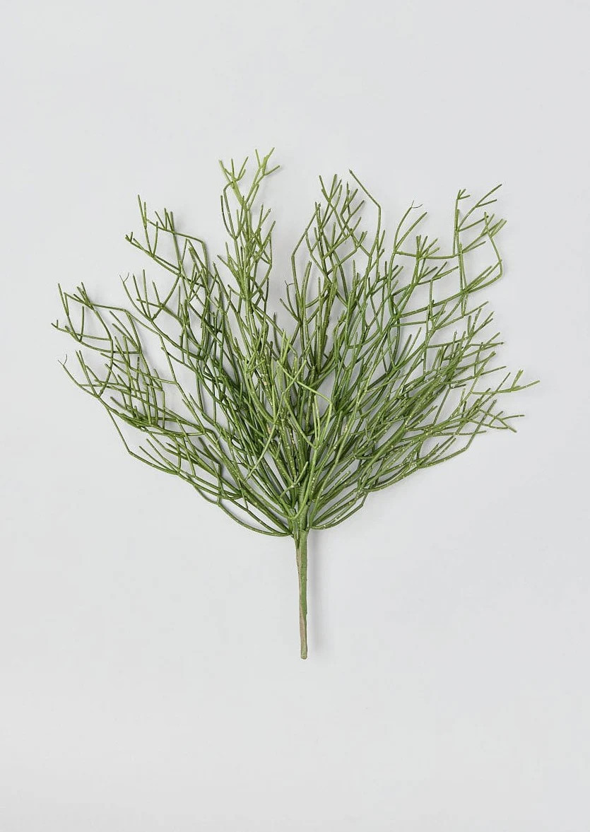 Artificial Pencil Cactus | Shop Best Fake Plants at Afloral.com | Afloral