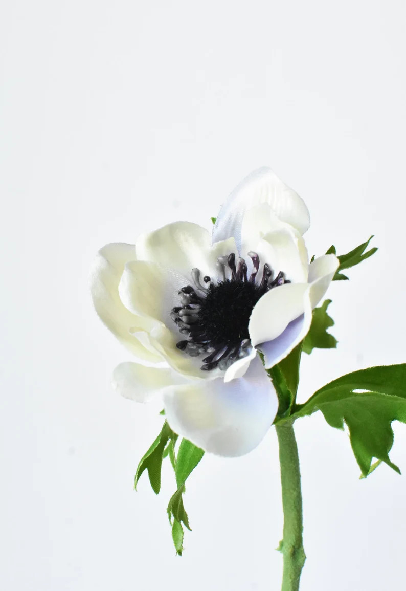 16.5" Cream/Lavender Anemone Stem | Etsy (US)