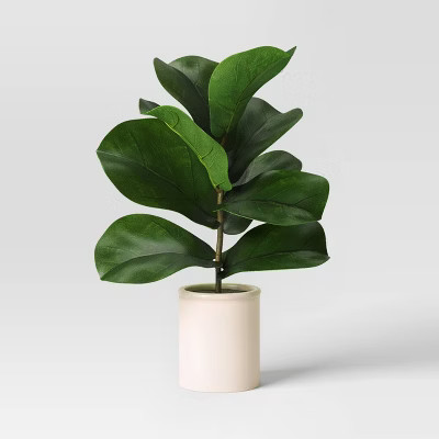 Fiddle Leaf Potted Plant Small - Threshold™ | Target