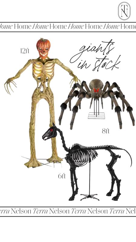 Scary Halloween Giant Skeleton / Giant Spider / Horse Skeleton / Home Depot Skeleton 

#LTKhome #LTKSeasonal #LTKFind