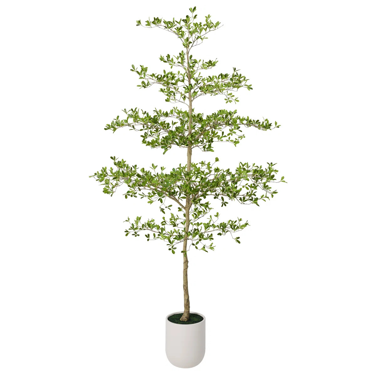 10ft Artificial Black Olive Tree With Large White Planter, Tall Faux Black Olive Tree Indoor, Dec... | Wayfair North America