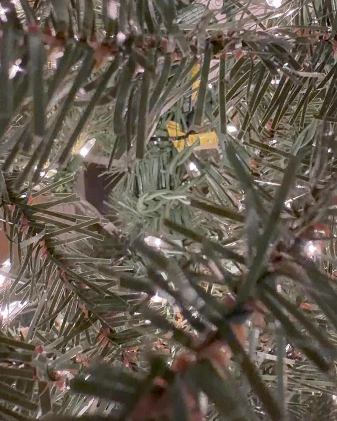 Is your Christmas tree all ready up? 

#LTKfitnessgoals #LTKootd #LTKGiftGuide