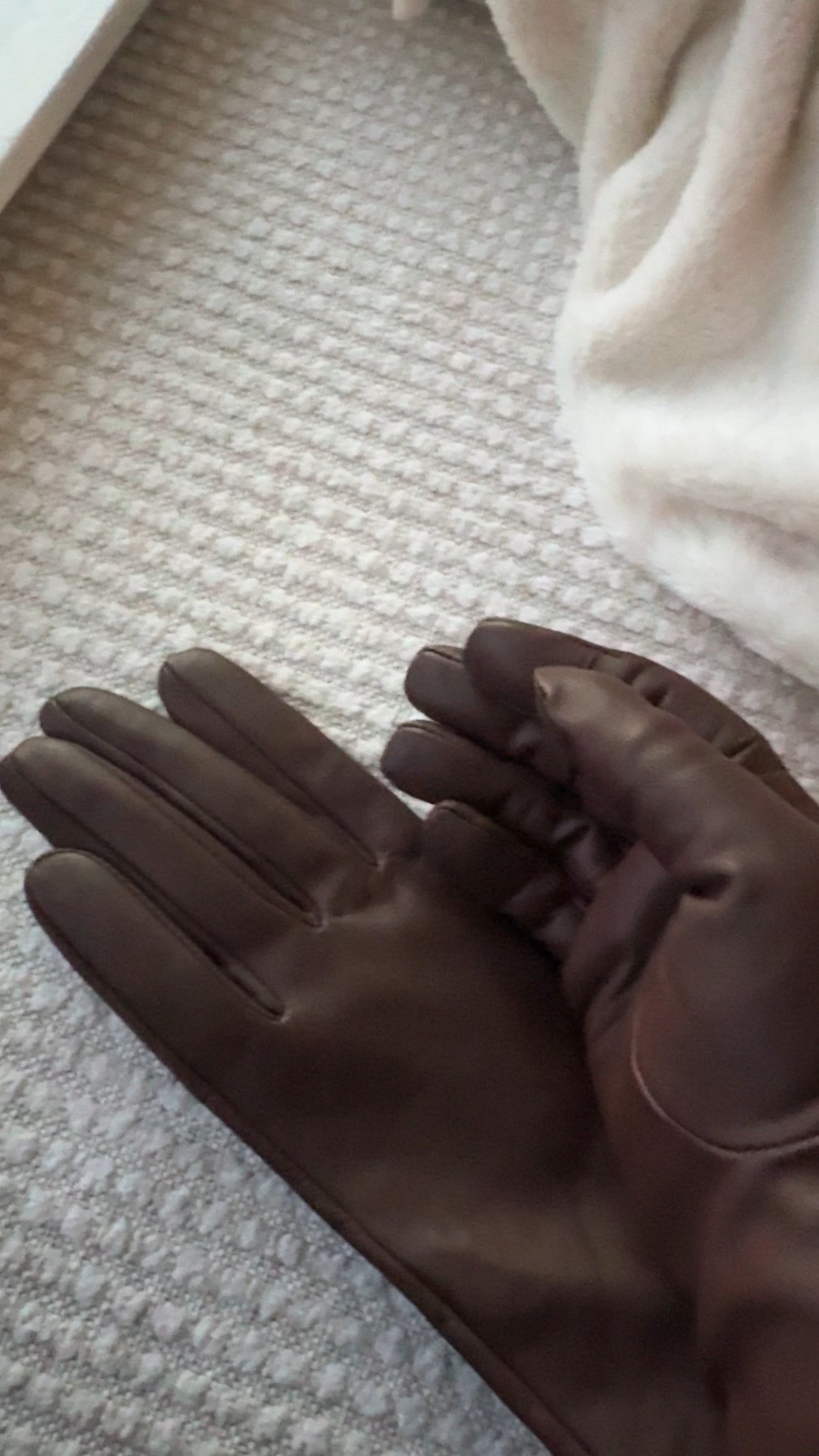 These cashmere lined leather gloves and such an incredible value and what an amazing luxury gift. After loving my black leather gloves so much, I had to get some in brown. I’m waiting on the smaller pair to get here but they make returns so easy! These just came back in stock and are guaranteed to arrive before Christmas. Also have the touch screen fingers! Leather is buttery soft.

#LTKHoliday #LTKFindsUnder50 #LTKGiftGuide