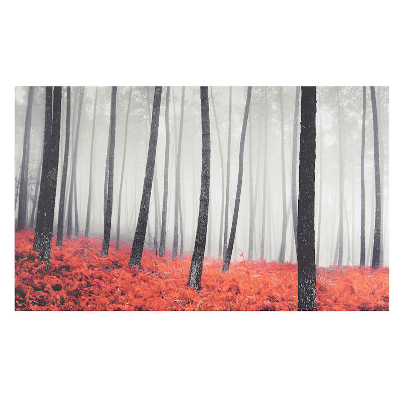 Autumn Woods Canvas Wall Art, 60x36 | At Home