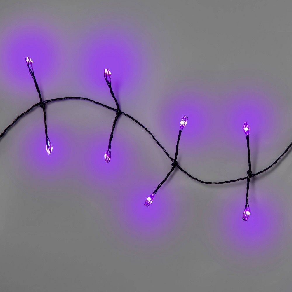Halloween 60ct LED Dew Drop Garland Halloween Fairy String Lights Purple - Hyde & EEK! Boutique | Target