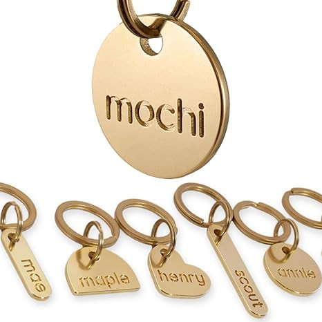 Solid Brass PET TAG - Modern, Minimal Pet IDs. Durable, Lifetime Tags with deep Cut Text. Include... | Amazon (US)