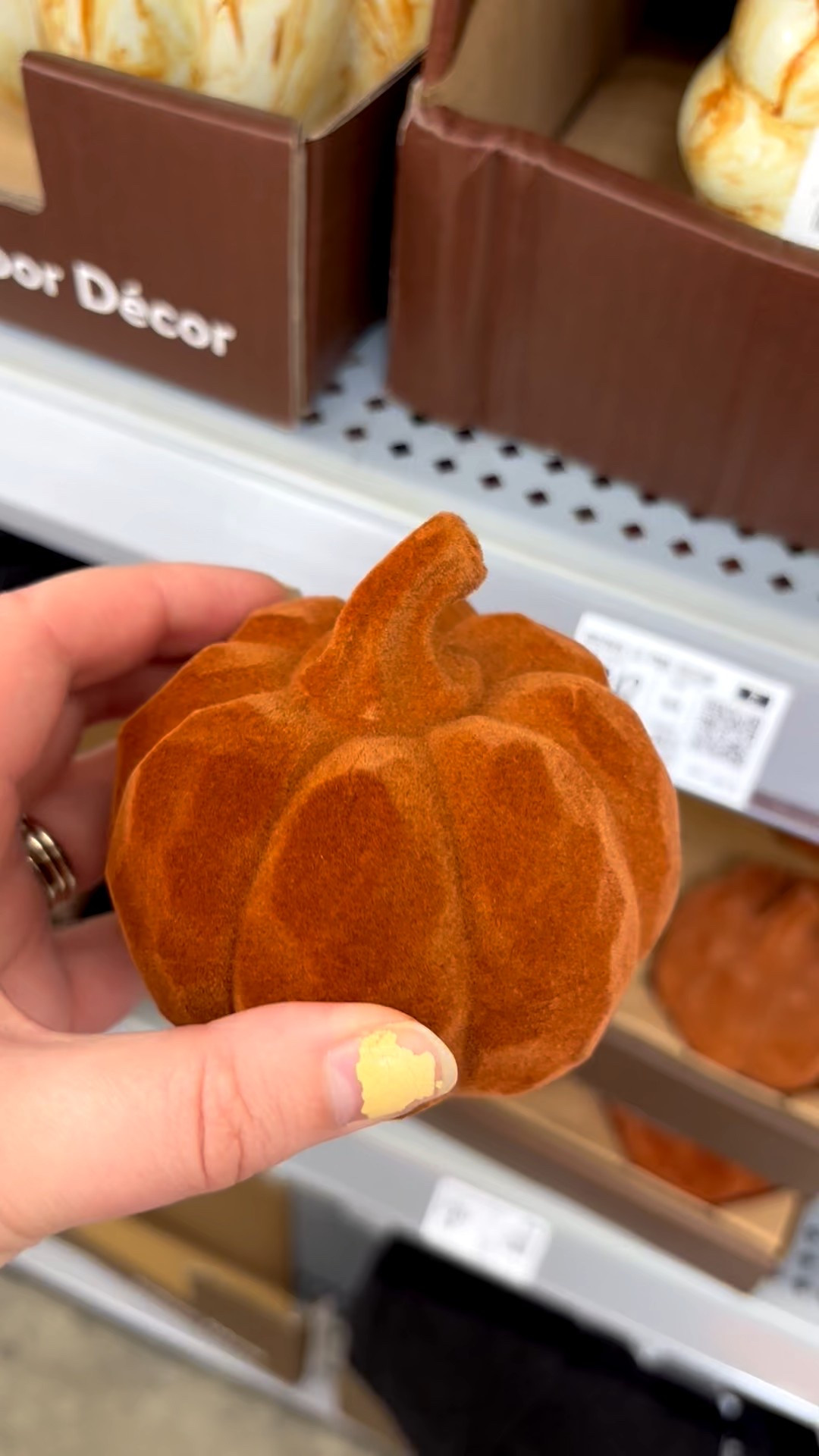 Some of the cute new pumpkin decor at Walmart! Which one is your fave?🎃🎃🎃
#walmart

#LTKFindsUnder50 #LTKHome #LTKFallSale