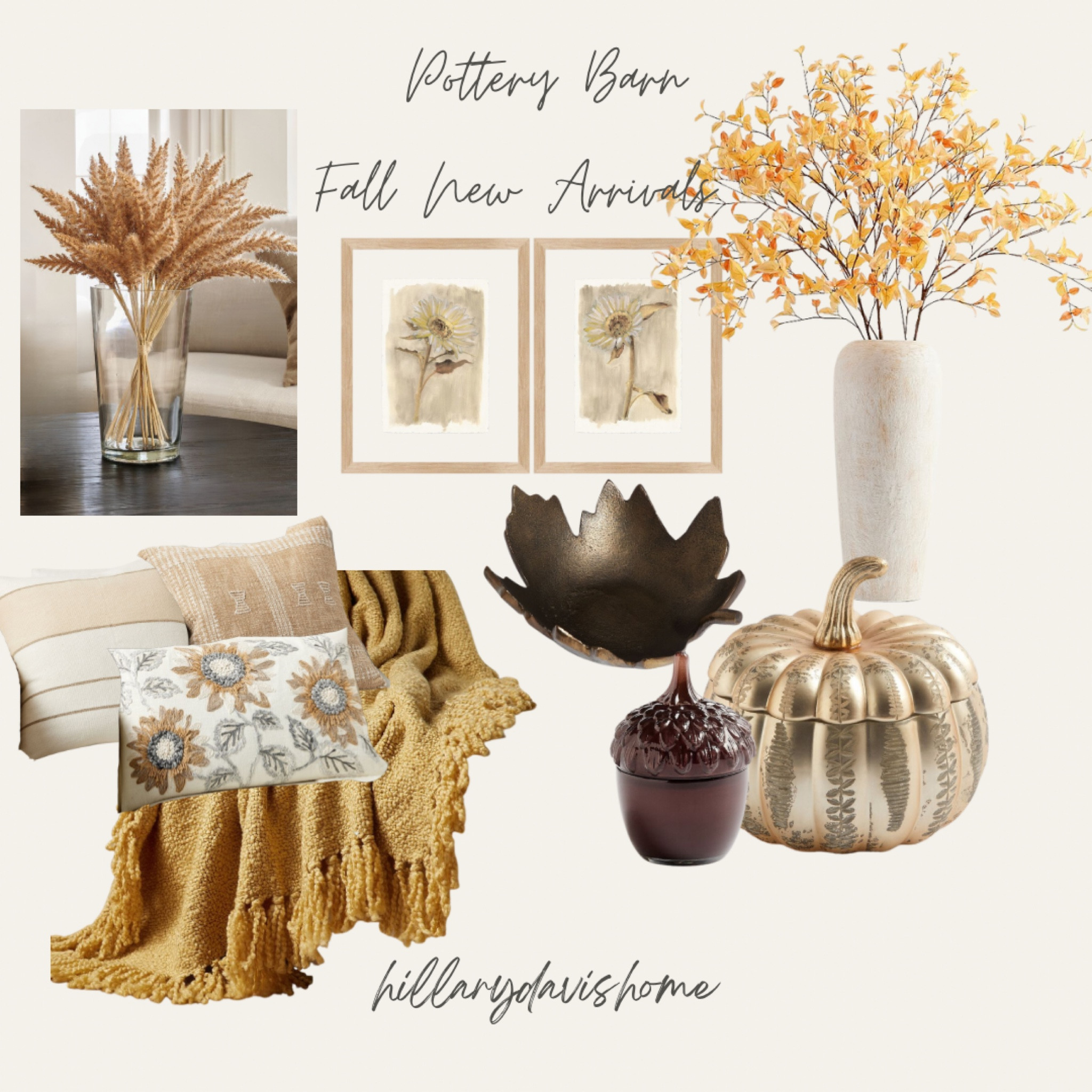 Pottery Barn New Fall Arrivals!

Picked up this brass leaf, dogwood branches and gold pumpkin candle! Love this new pillow pairing with this curry throw! The neutral Daisy art is so pretty 💛 

Pottery barn Fall/ PB new arrivals/ dogwood branch/ gold pumpkin candle/ acorn candle/ brass leaf object/ fall pillows/ sunflower pillow/ neutral Daisy art/ curry throw/ millet bundle/ fall pillows 

#LTKSeasonal #LTKhome