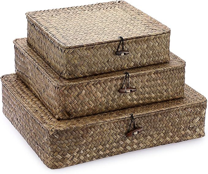 Hipiwe Set of 3 Flat Wicker Storage Bins with Lid Handwoven Natural Seagrass Shelf Baskets Boxes ... | Amazon (US)