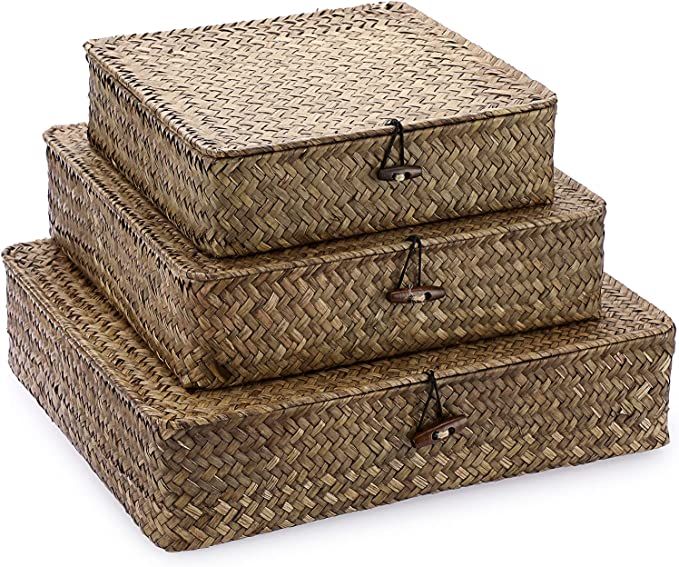 Hipiwe Set of 3 Flat Wicker Storage Bins with Lid Handwoven Natural Seagrass Shelf Baskets Boxes ... | Amazon (US)