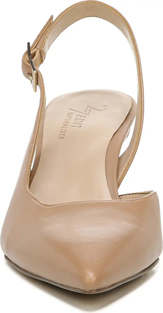 Felicia Slingback Pointed Toe Pump (Women) | Nordstrom