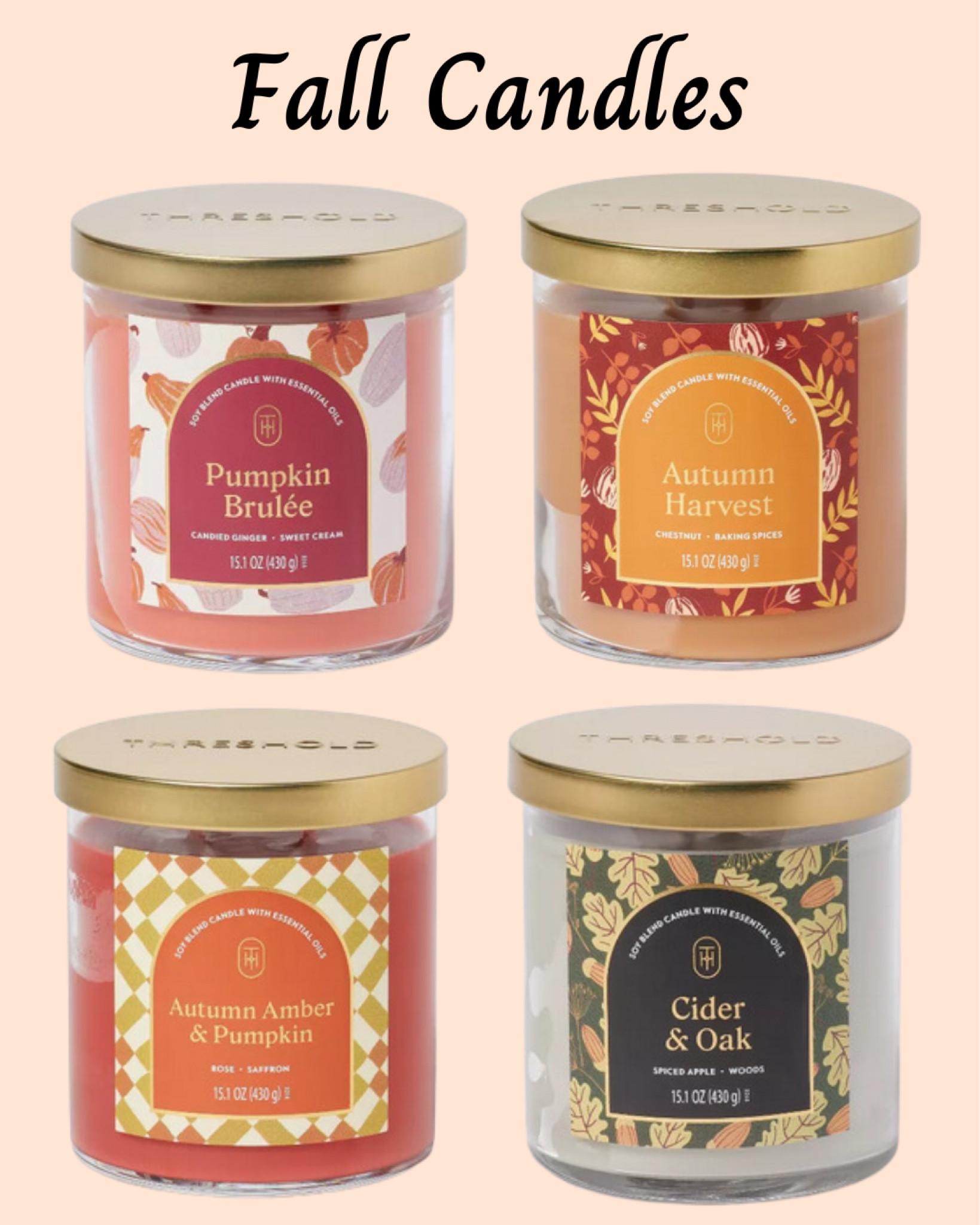 Check out these great fall candles at Target!

Target, home decor, candle, candles, fall candle, fall candles, autumn candles, autumn candle, fall home, autumn home, pumpkins 


#LTKgiftguide #LTKautumn #LTKfamily