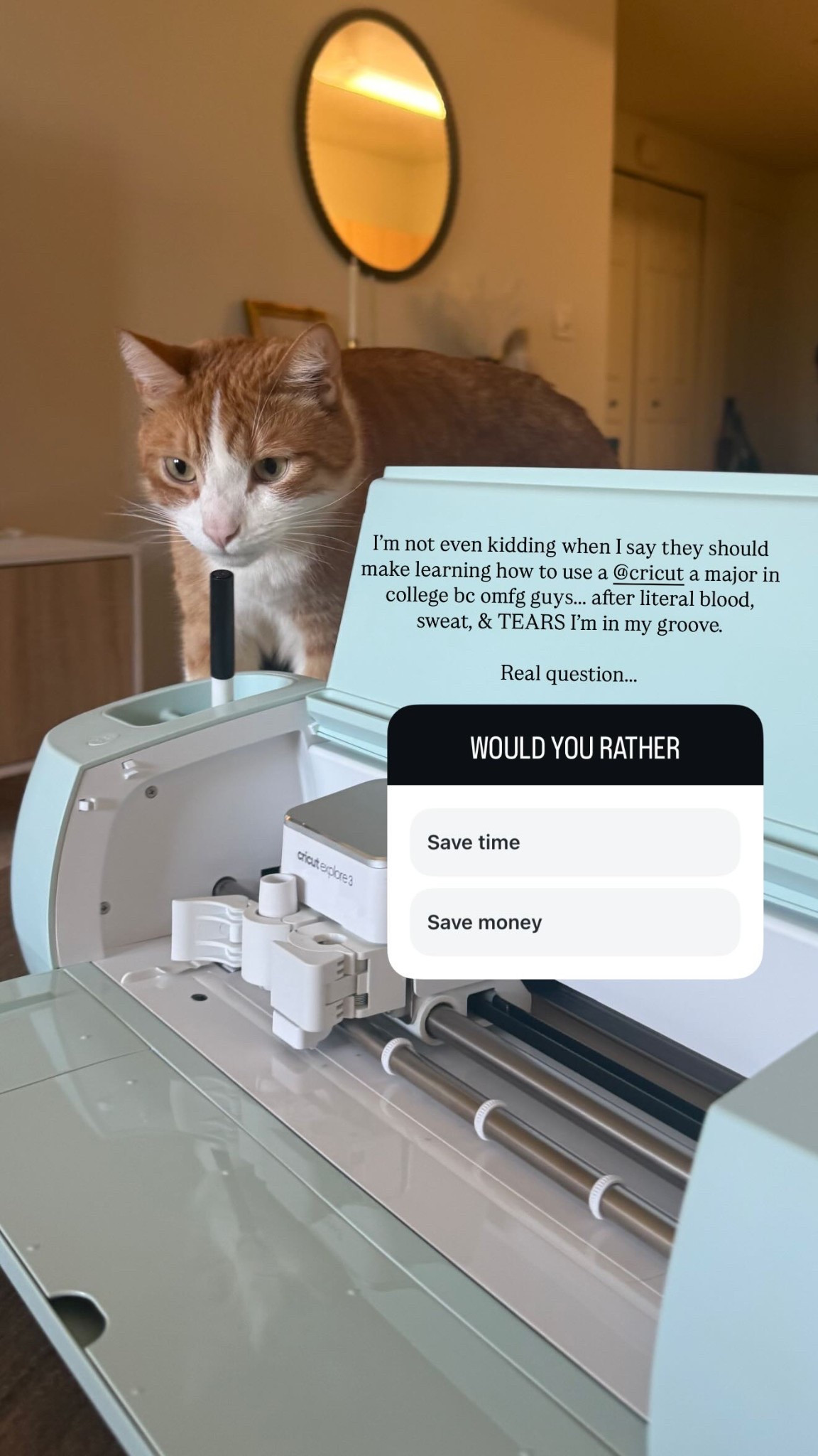 I’m not even kidding when I say they should make learning how to use a @cricut a major in college bc omfg guys….. after literal blood, sweat, & TEARS I’m in my groove. 

#LTKWedding #LTKHome #LTKStyleTip