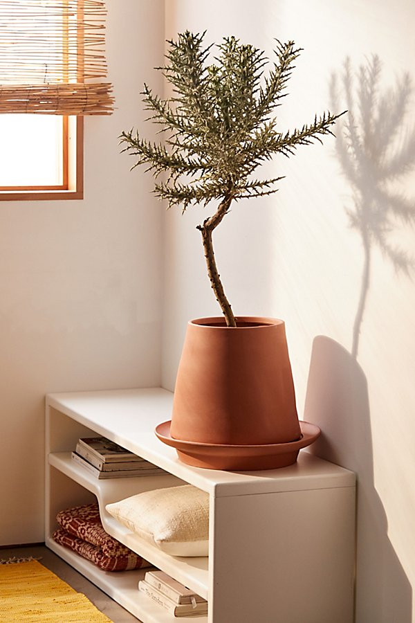 Denny Ceramic Planter And Tray | Urban Outfitters (US and RoW)