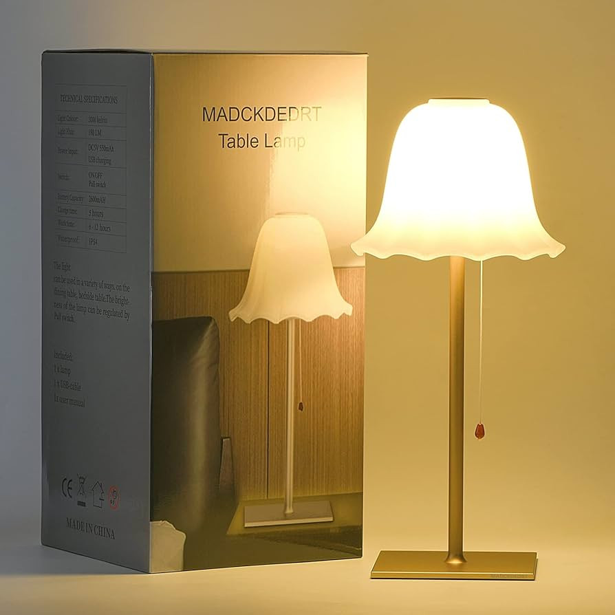 MADCKDEDRT Rechargeable Table lamp,LED Light,3 Gear dimming,Petal Glass lamp Shade,Aluminum Base,... | Amazon (US)