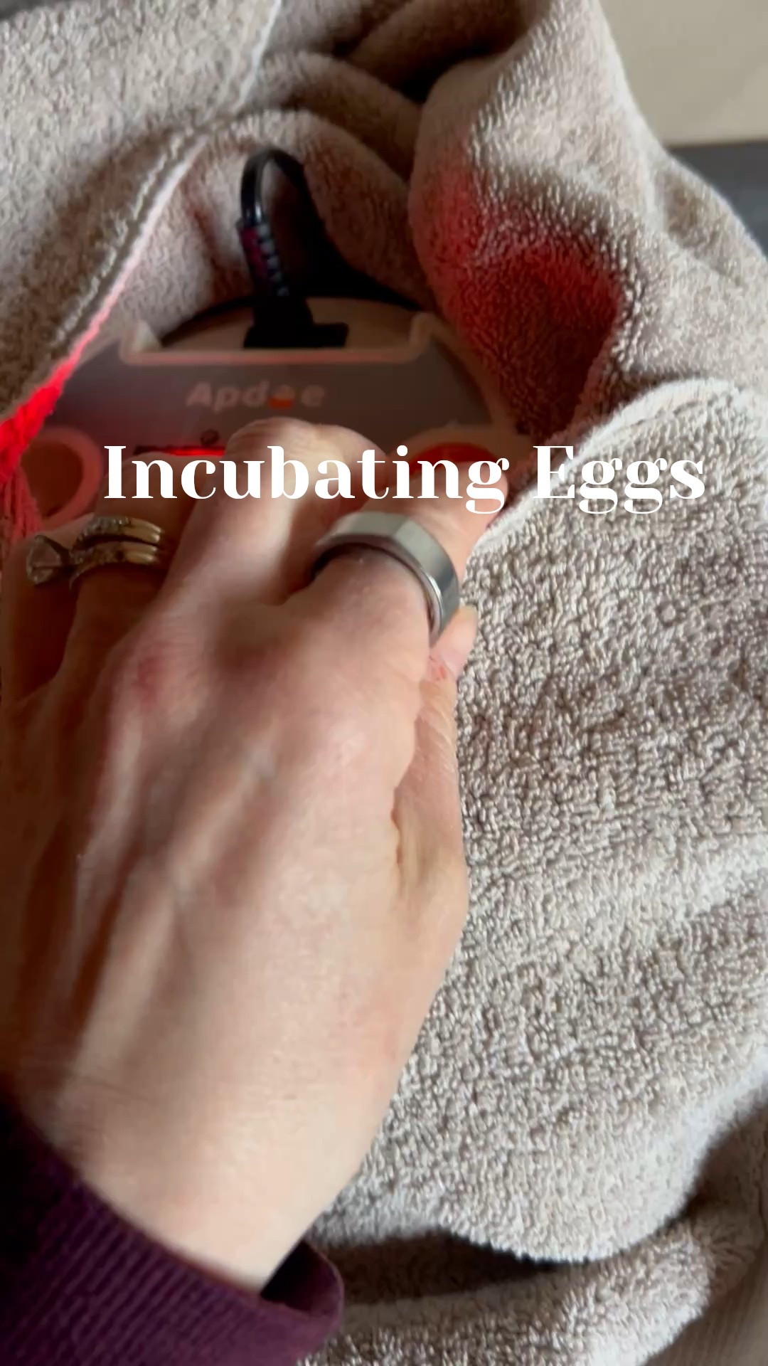 Love this egg incubator! Automatically turns the eggs, controls the temperature, and controls humidity! Excited to hatch baby chicks this spring! 

#chickens #backyardchickens #homestead 

#LTKSeasonal #LTKFamily #LTKHome