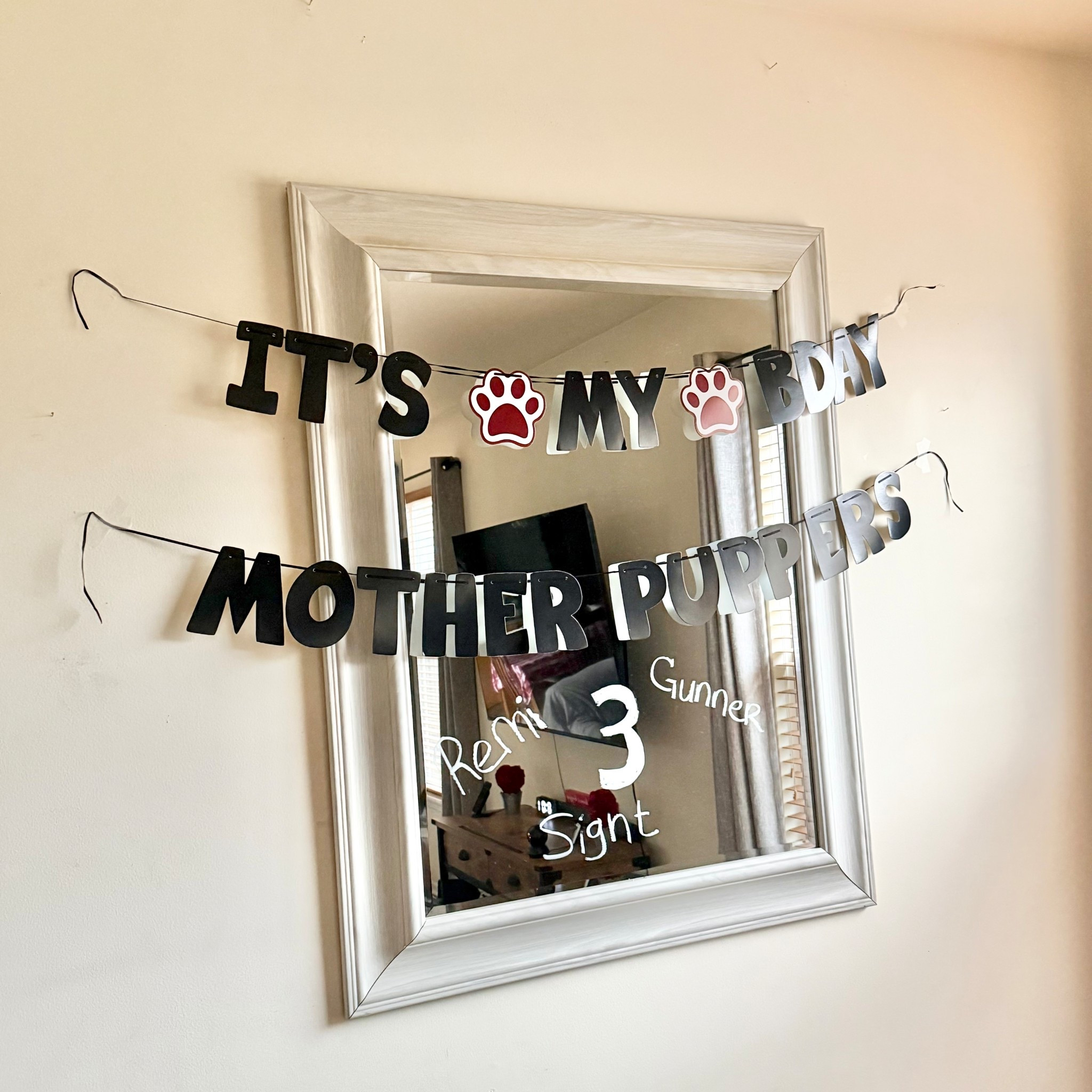 LLMSIX Its My Birthday Mother Puppers Banner
$6.99

#LTKHome #LTKFindsUnder50
