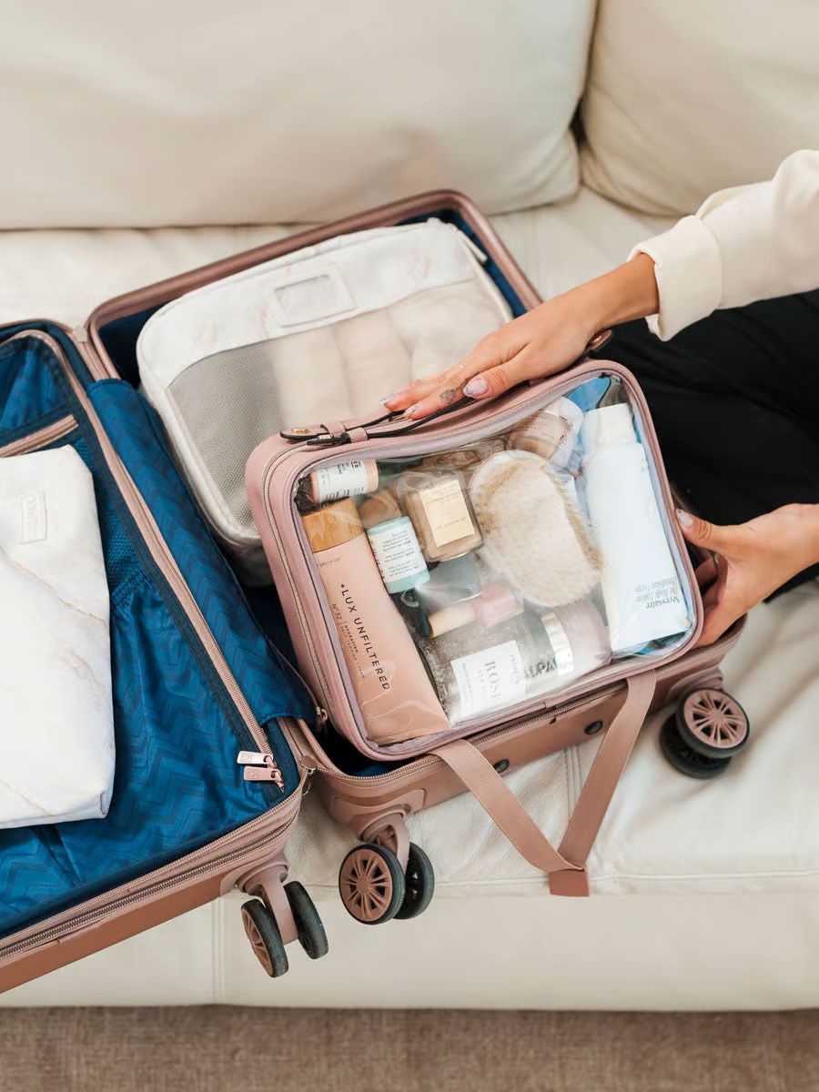 Clear Cosmetic Case: Large | CALPAK | CALPAK Travel