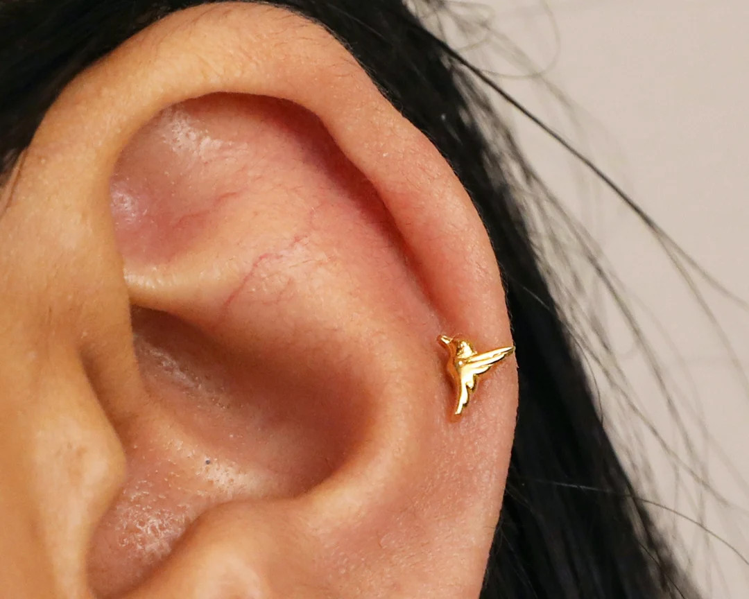 18G/16G Hummingbird Cartilage Flat Back Labret Stud • cute stud earrings • tragus stud • fl... | Etsy (US)