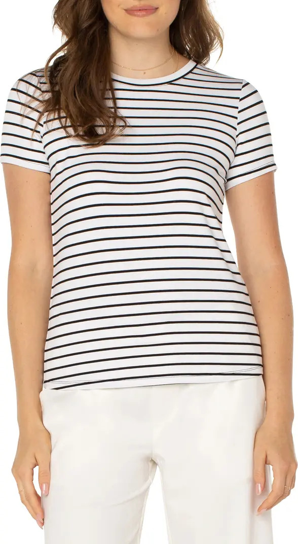 Stripe Crewneck T-Shirt | Nordstrom