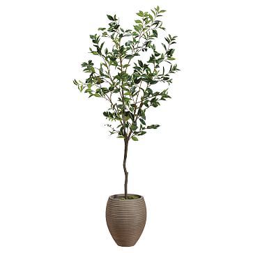 Faux Potted Laurel Tree w/ Planter | West Elm | West Elm (US)