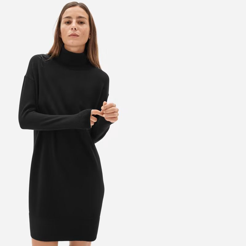 The Cashmere Turtleneck Dress | Everlane