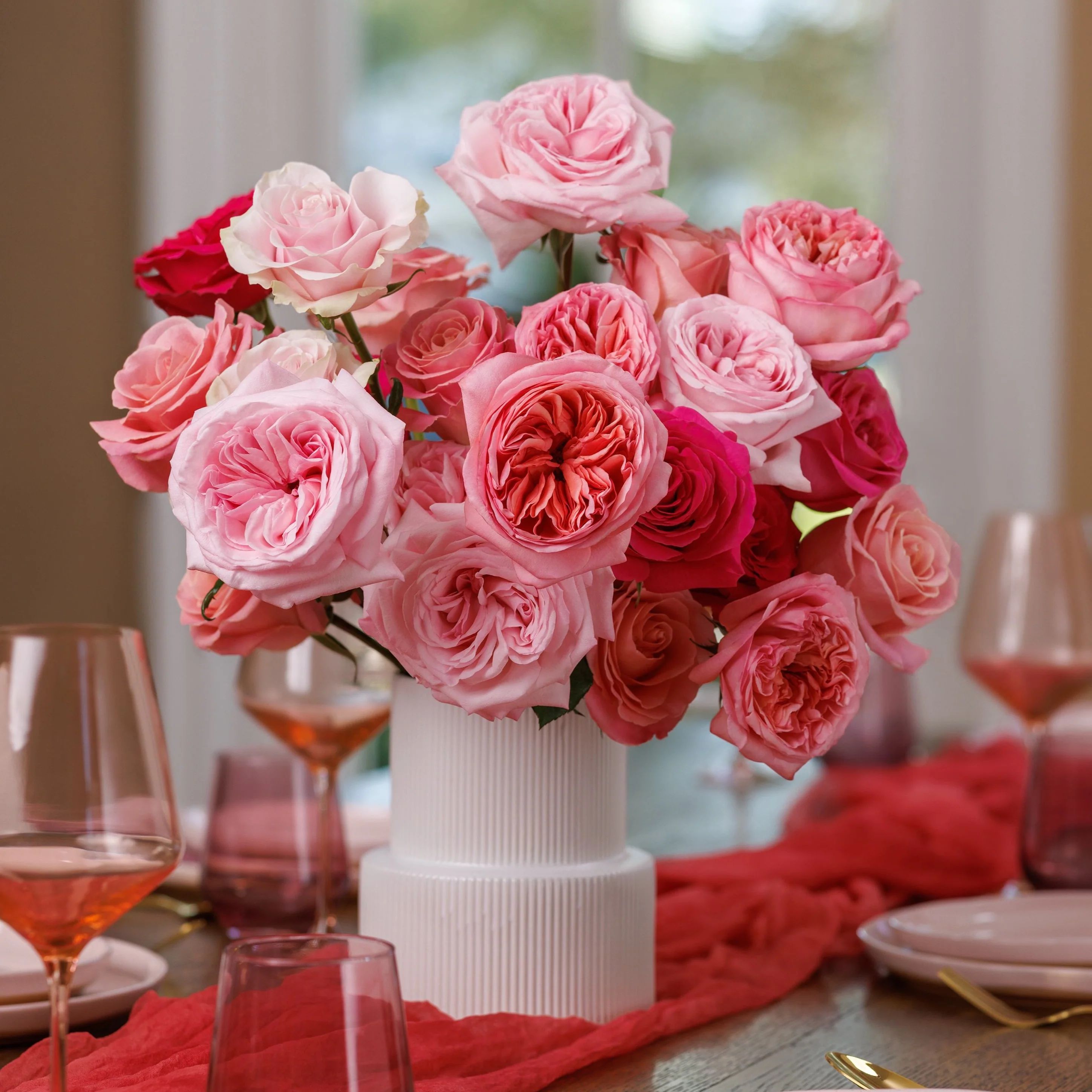 Gorgeous | grace rose farm