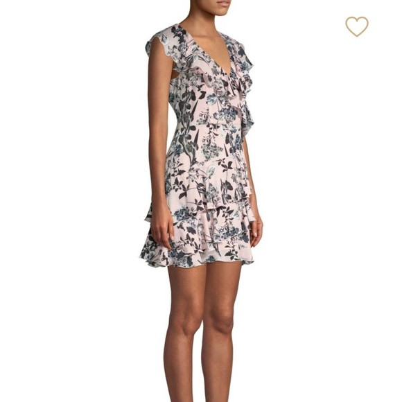 NWT - Parker - Dorothy Ruffle Fit & Flare Dress | Poshmark