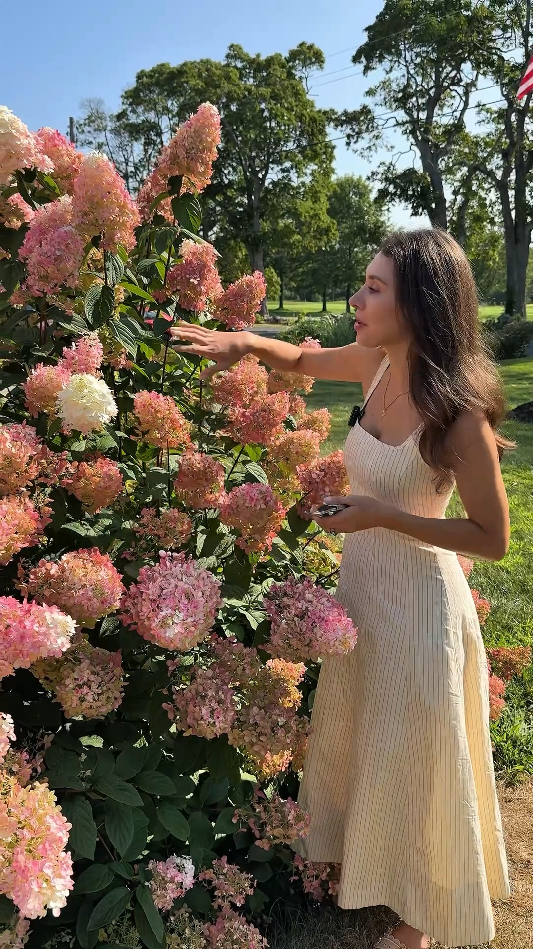 Linking everything you need for the hydrangea wreath tutorial  

#LTKHome #LTKSeasonal #LTKSaleAlert