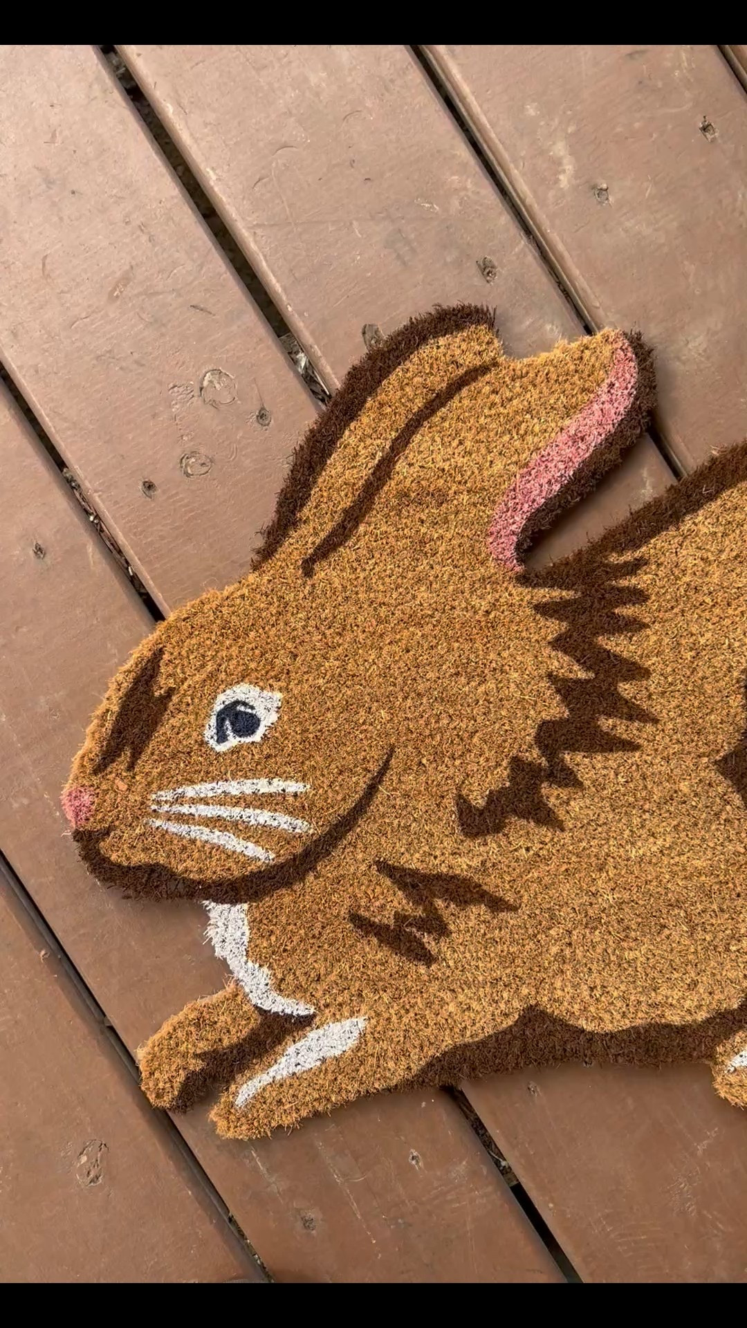 How cute is this bunny doormat I got from target for Easter!? 🐰🐇

#LTKSpringSale #LTKHome #LTKSeasonal