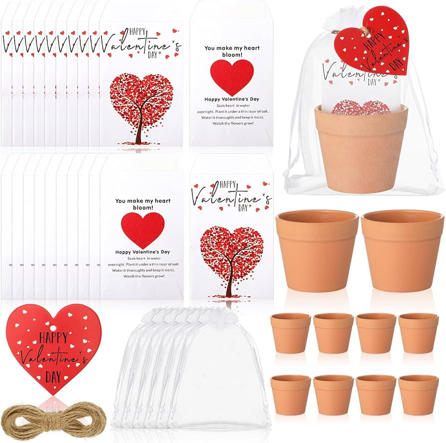 Ctosree 24 Sets Valentine's Day Gifts Bulk Heart Seed Packet Valentine's Day Party Favor for Gues... | Amazon (US)