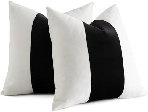 AmHoo Pack of 2 Velvet Panel Cotton Pillow Covers Decorative Pillowcase Cushion for Couch Sofa Be... | Amazon (US)