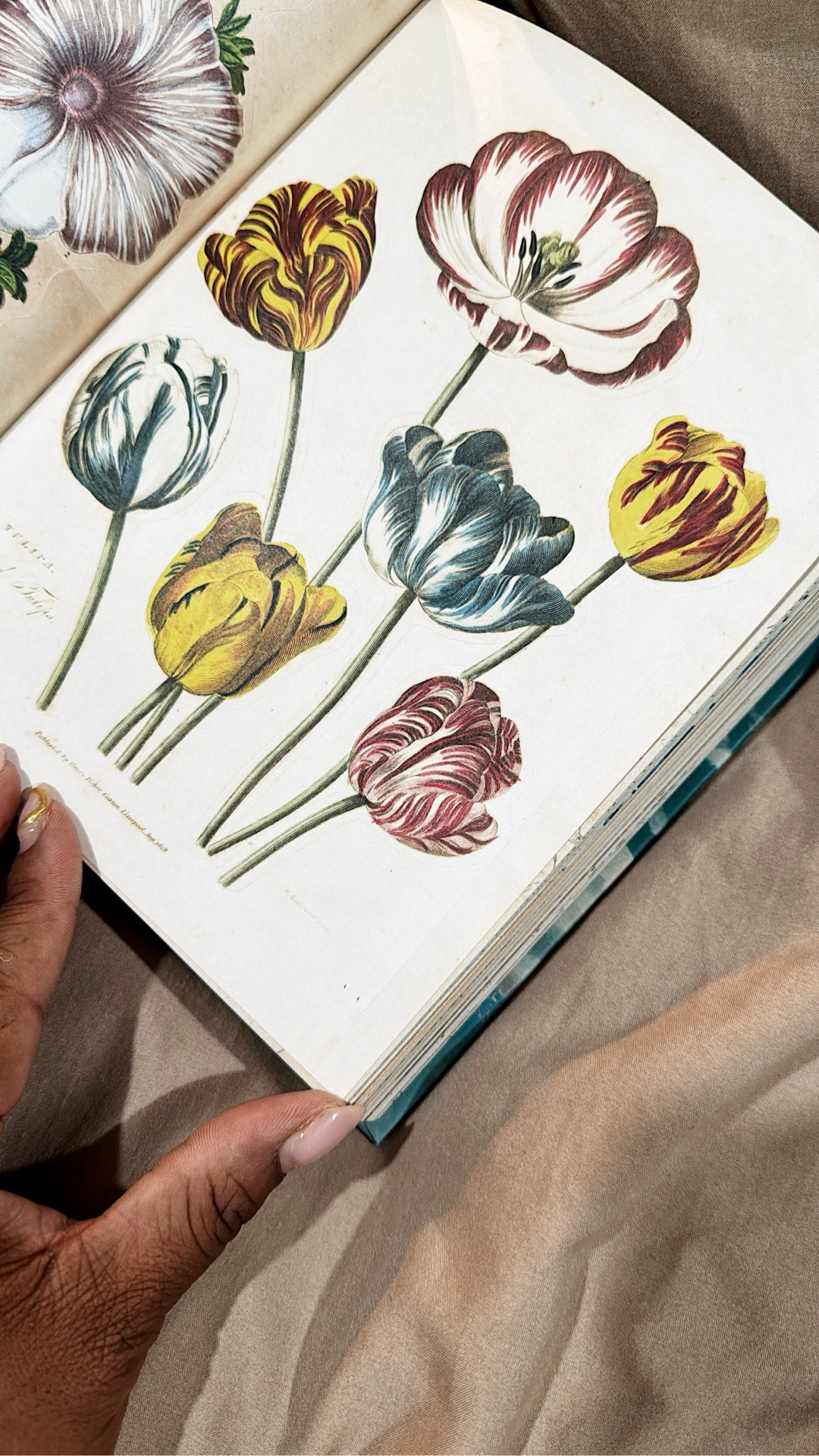 New sticker book alert 🚨

#LTKFindsUnder50