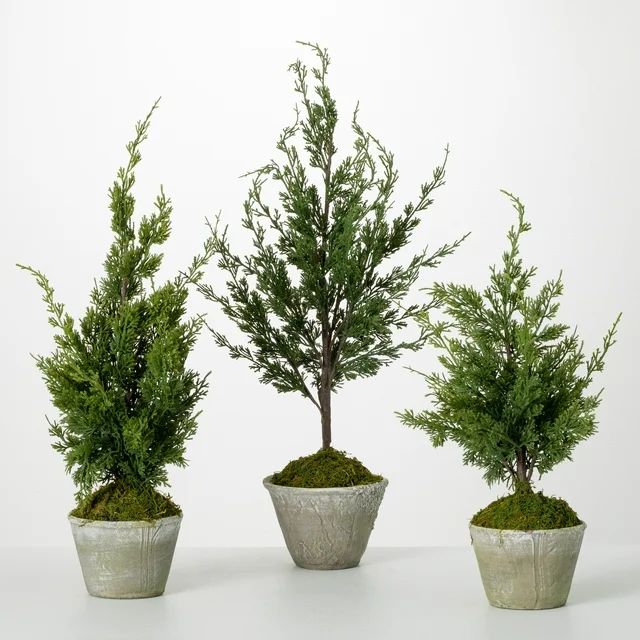 22"H, 26"H and 32"H Sullivans Faux Dwarf Cedar Tree - Set of 3, Green | Walmart (US)