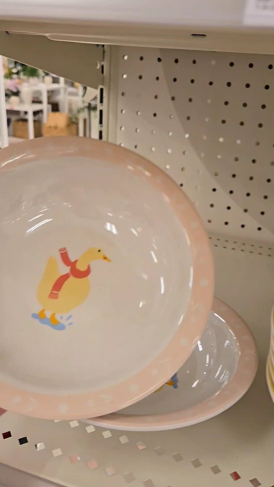 Target Silly Goose🪿

