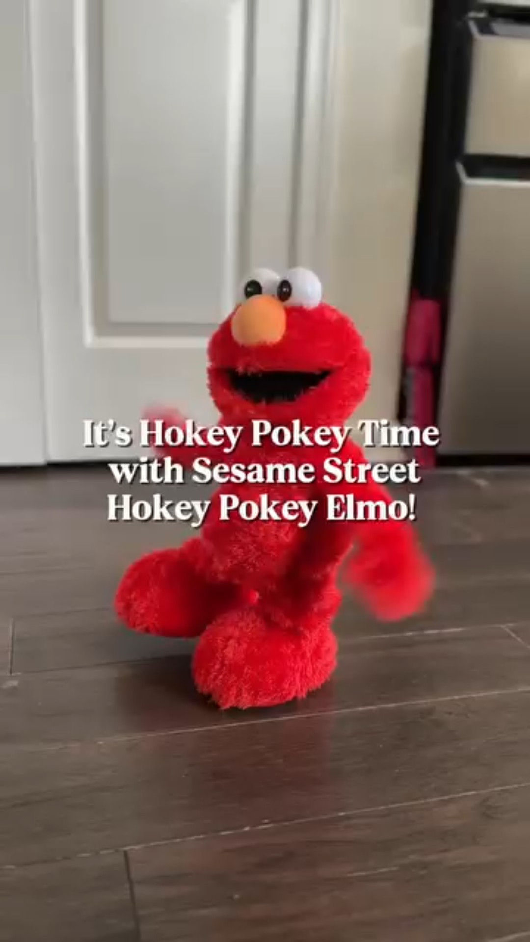 The Hokey Pokey Elmo has officially become the star of our holiday season 🤣🎄Dancing, spinning, giggling… the kids cannot get enough! Such a fun gift idea if you’re looking for something that gets little ones moving and laughing. ❤️

#gifted #JustPlay #HokeyPokeyElmo #RenBeanieRocks

#LTKHoliday #LTKKids