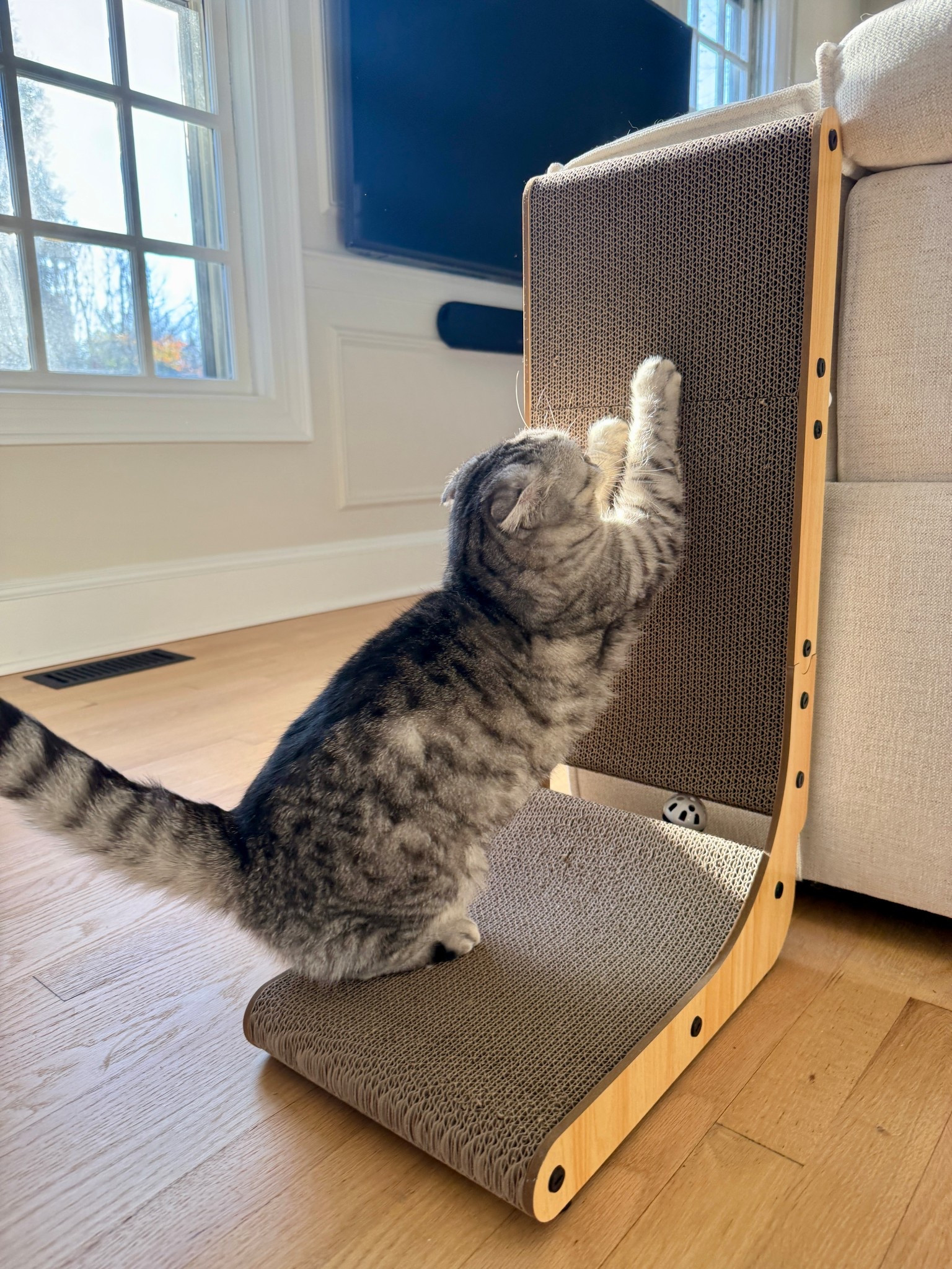 Proof that you can have a cat and nice furniture 🐱✨ This scratcher is the reason we felt confident investing in RH couches - our cat’s obsessed, and the sofa is officially off-limits!

#LTKdayinmylife #LTKvlog #LTKHome