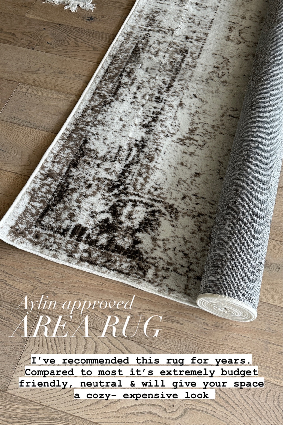 My rug is 60% off 🎉