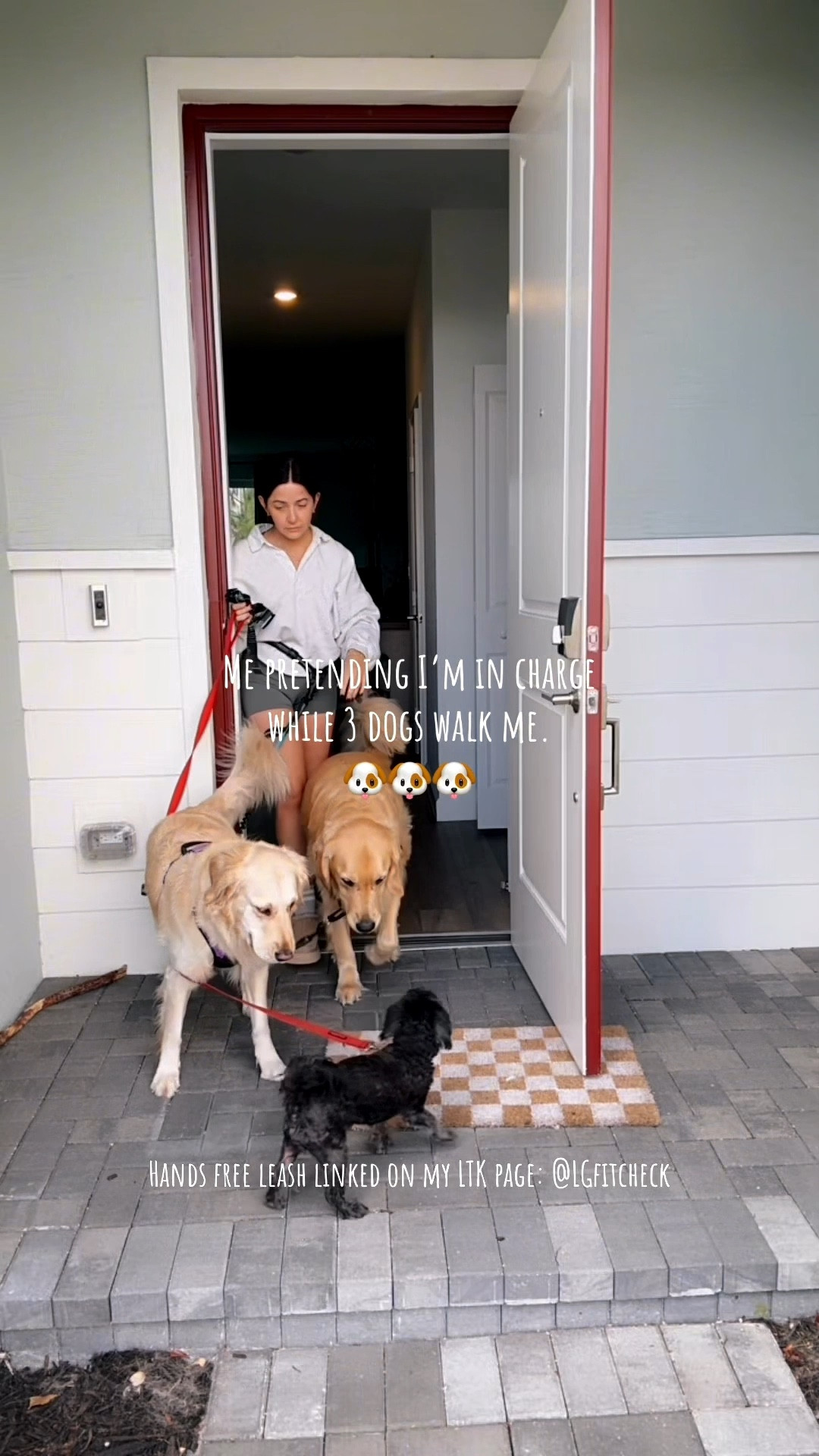 3 dogs mom life - morning routine 

-golden retrievers - dog must haves - Amazon must haves - pet must haves - Black Friday - hands free dog leash - dog harness - workout matching set - pullover grey half zip - cropped pullover - short Uggs - cute socks 

#LTKdayinmylife #LTKmorningroutine #LTKmomlife