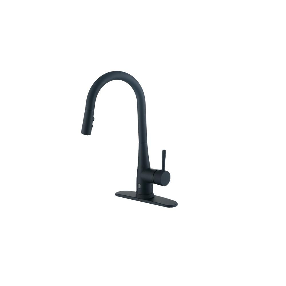 Runfine Single-Handle Pull-Down Sprayer Kitchen Faucet and Hands-Free in Matte Black | The Home Depot