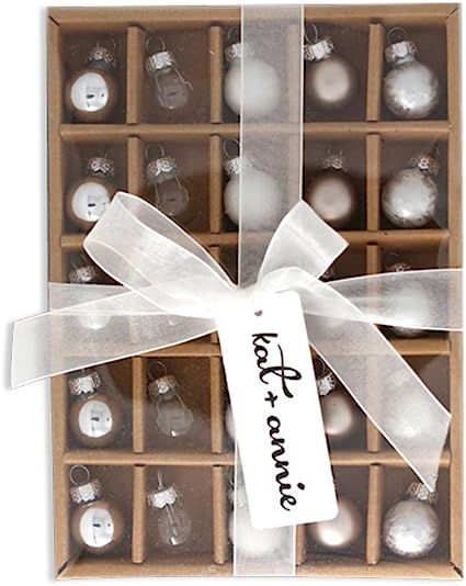 kat + annie 25 Count Frosted Ornament, Silver/White | Amazon (US)