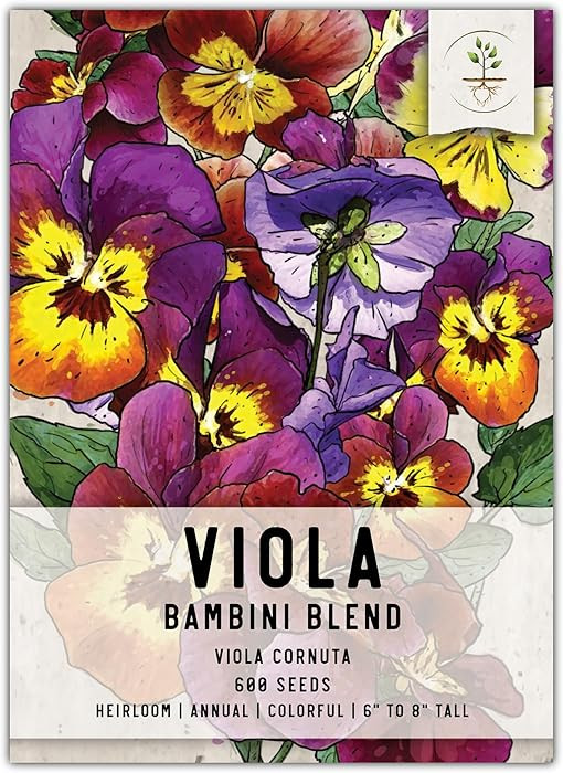 Seed Needs Viola Seeds for Planting Bambini Violas - Heirloom & Open Pollinated Annual Flowers to... | Amazon (US)