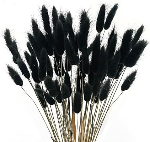 XHXSTORE 60pcs Black Pampas Grass Dried Bunny Tails Flowers Natural Lagurus Ovatus Dried Floral A... | Amazon (US)