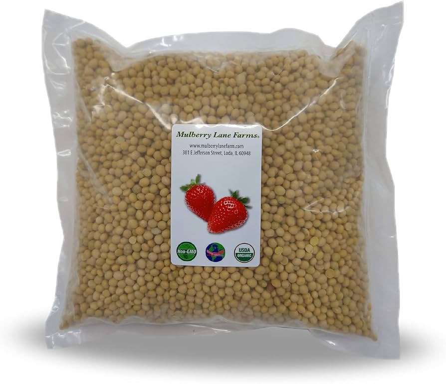 Soybeans, 5 Pounds Whole, USDA Certified Organic, Non-GMO Bulk, Product of USA, Mulberry Lane Far... | Amazon (US)