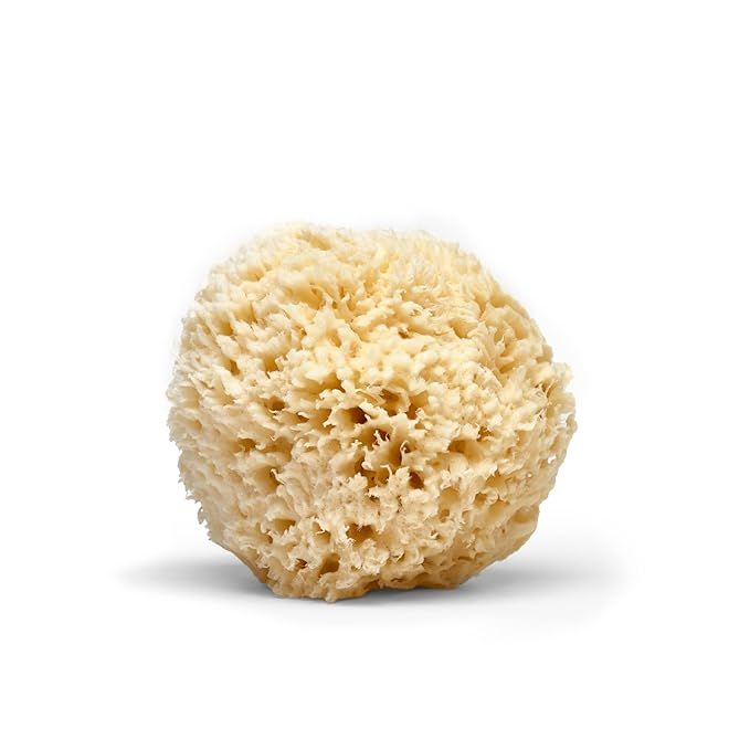 LATHER Natural Sea Wool Sponge 4-6” - Gentle Exfoliating Loofah for Invigorating Spa Experience... | Amazon (US)