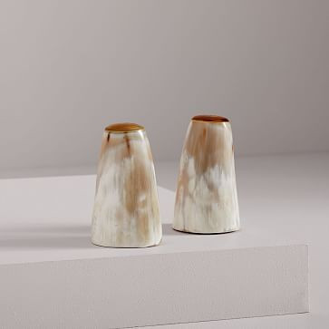 Horn Salt &amp; Pepper Shaker Set | West Elm (US)