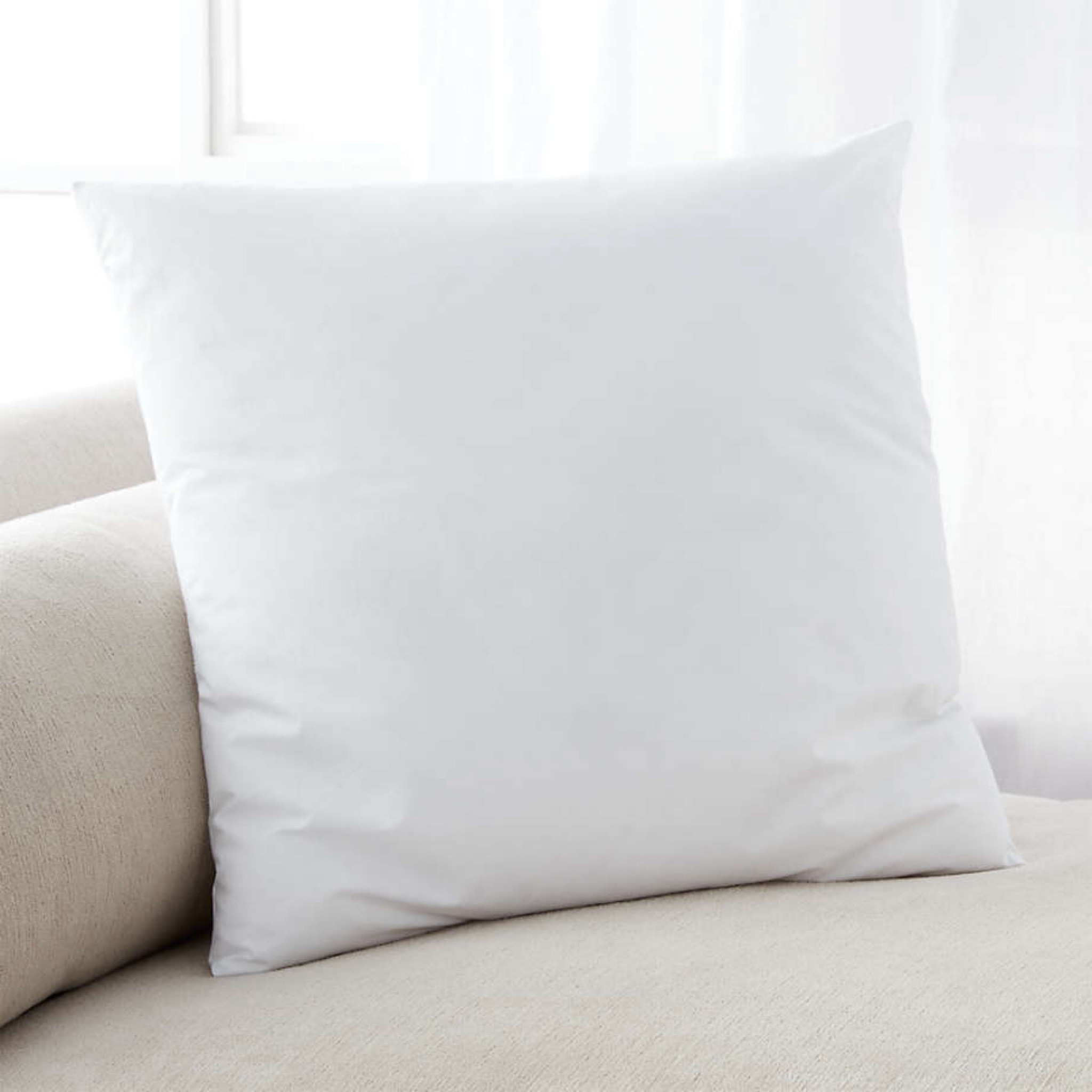 PILLOW INSERT ON MAJOR SALE

#LTKfindsunder50 #LTKhome #LTKsalealert