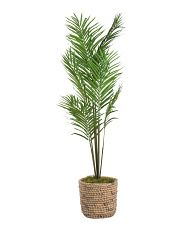 5ft Areca Palm In Woven Basket | TJ Maxx