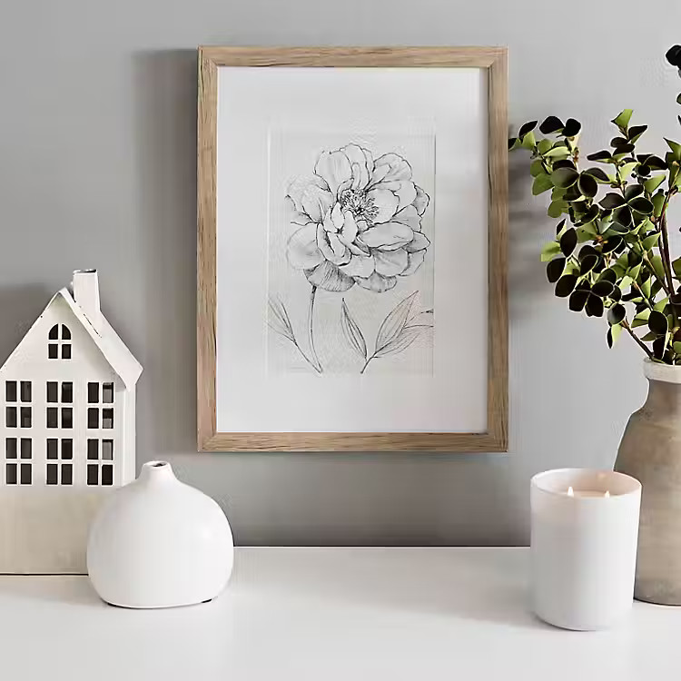 New! Robinson Peony Sketch Framed Art Print | Kirkland's Home