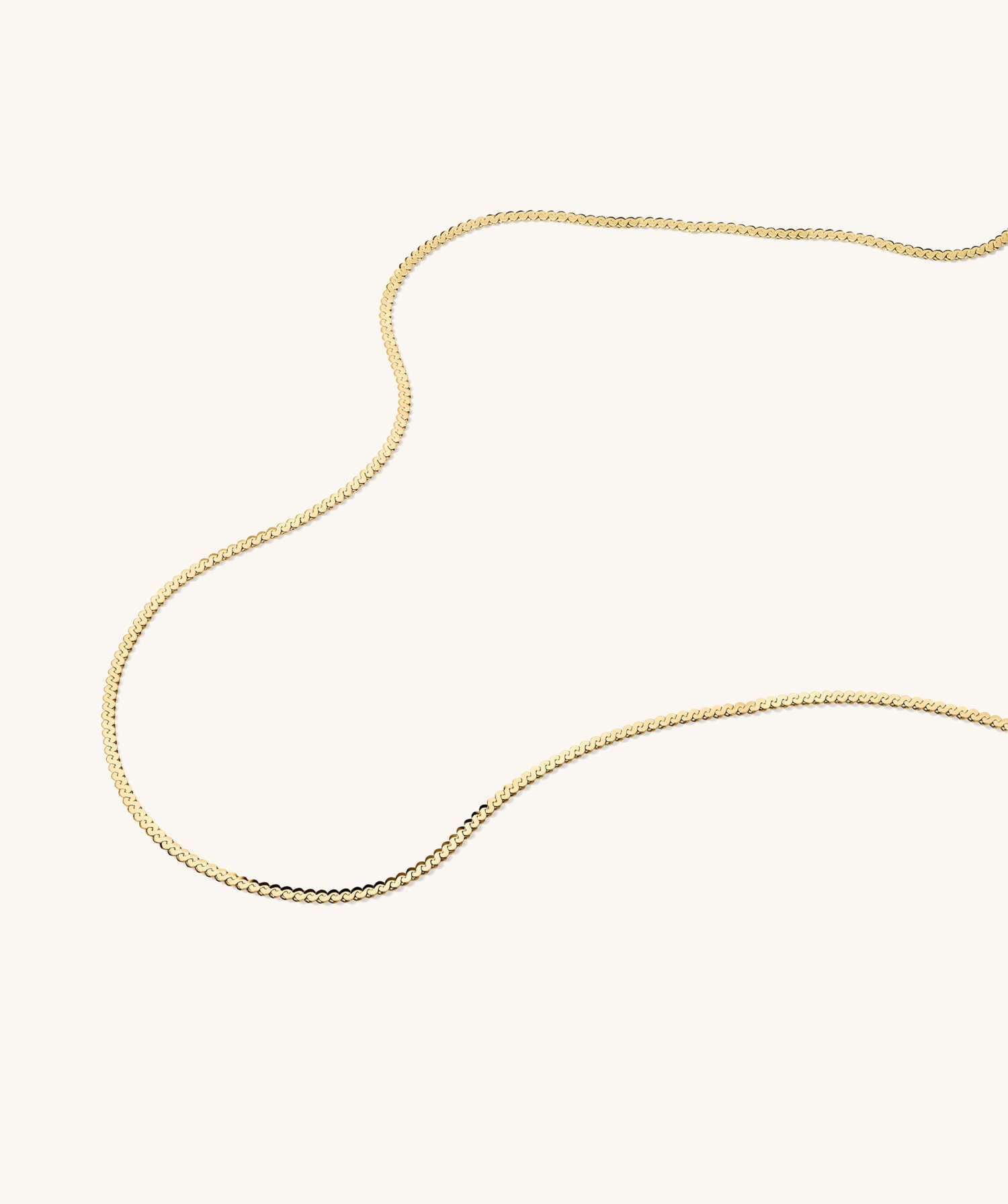 Serpentine Chain Necklace | Mejuri Fine Crew